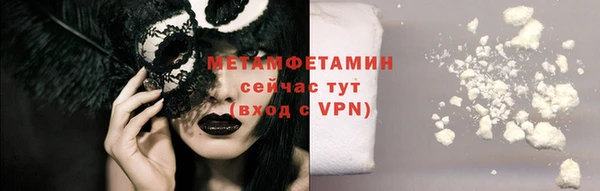 прущие грибы Белокуриха
