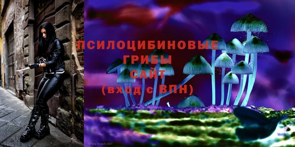 гашишное масло Верея